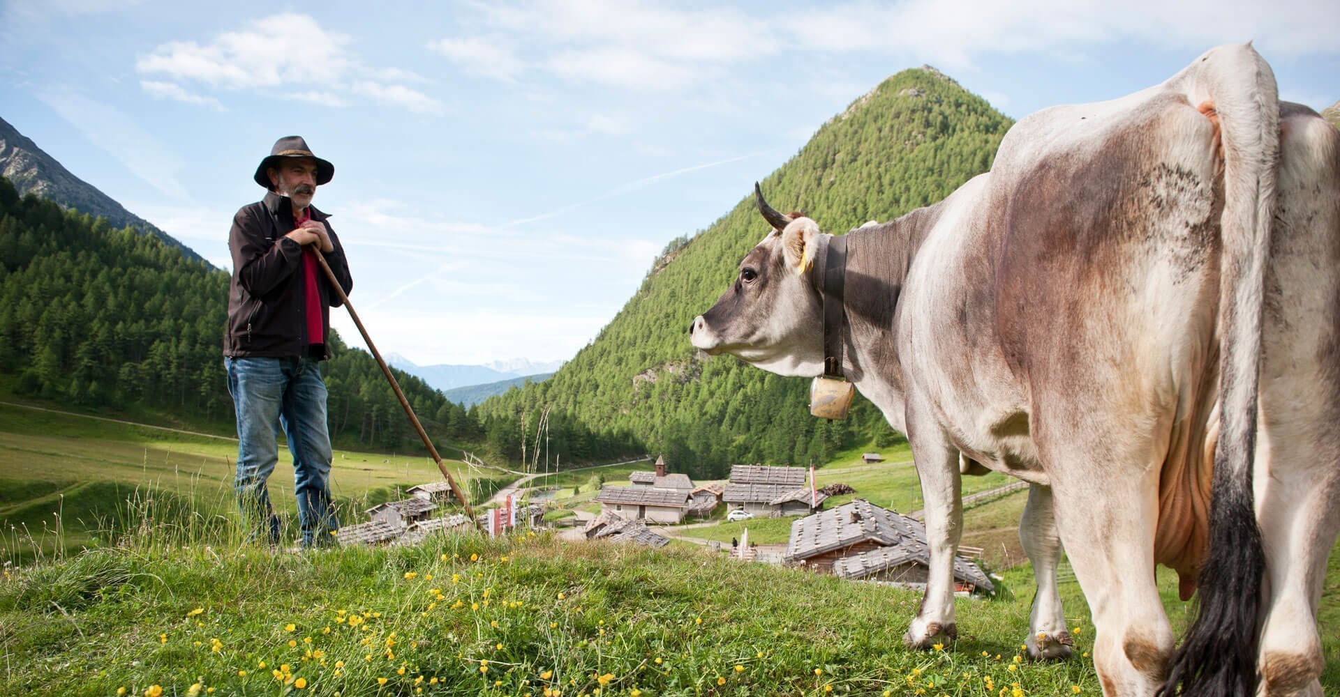 almenregion-gitschberg-jochtal