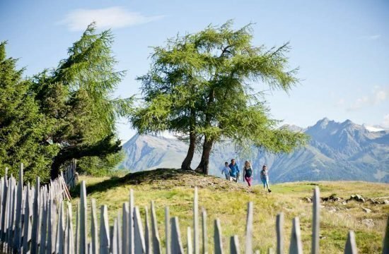 apartment-morans-meransen-gitschberg-jochtal-suedtirol (2)