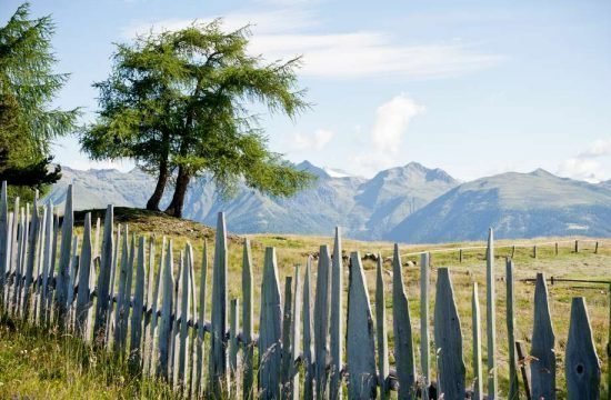 ferienregion-gitschberg-jochtal (1)