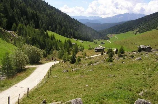 holidays-in-maranza-south-tyrol (5)